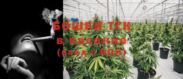 шишки Бородино
