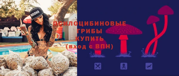 apvp Вязьма