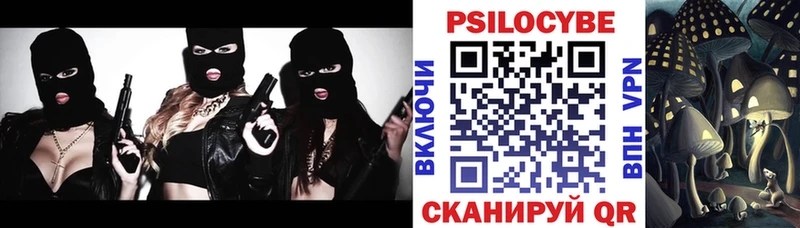 Псилоцибиновые грибы Magic Shrooms  закладки  Дубна 