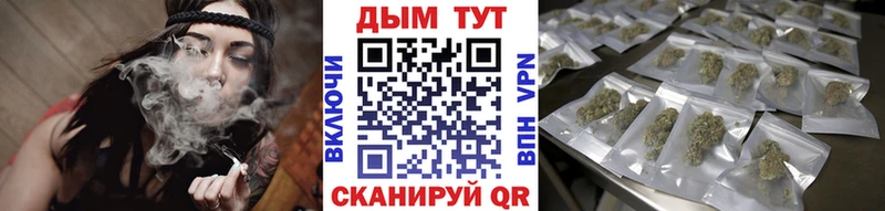Конопля марихуана  Дубна 